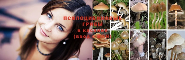 кокаин VHQ Аркадак